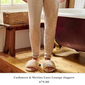 WoolOvers beige cozy merino cashmere lounge jogger pant.  New with tags